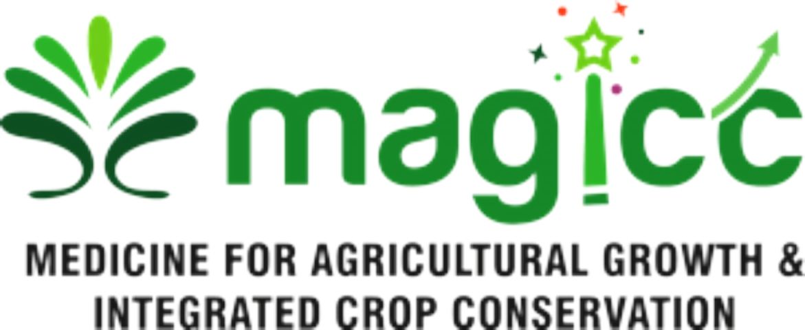 Magicc